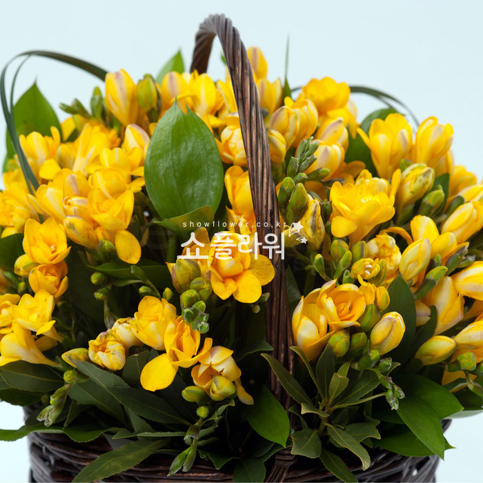 상세이미지