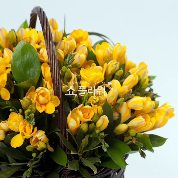 상세이미지