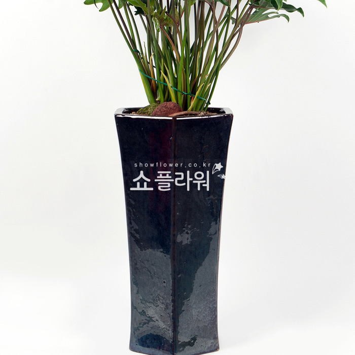 상세이미지