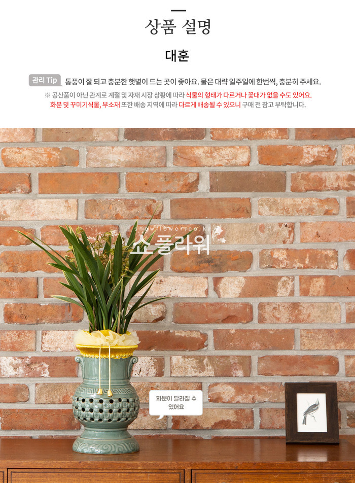 상세이미지