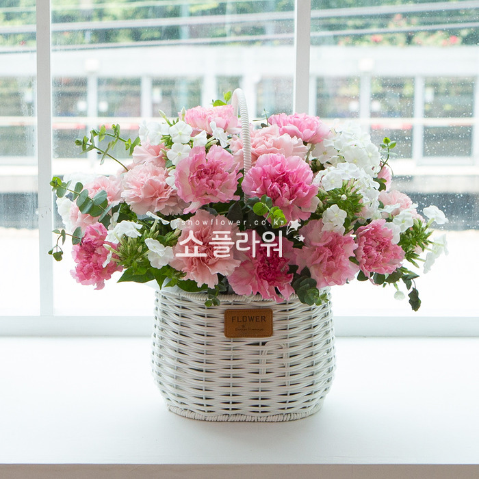 상세이미지