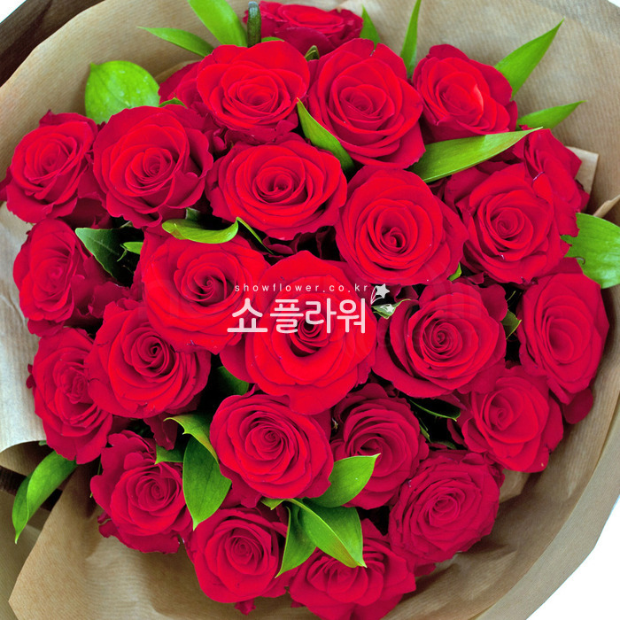상세이미지