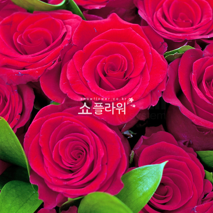 상세이미지