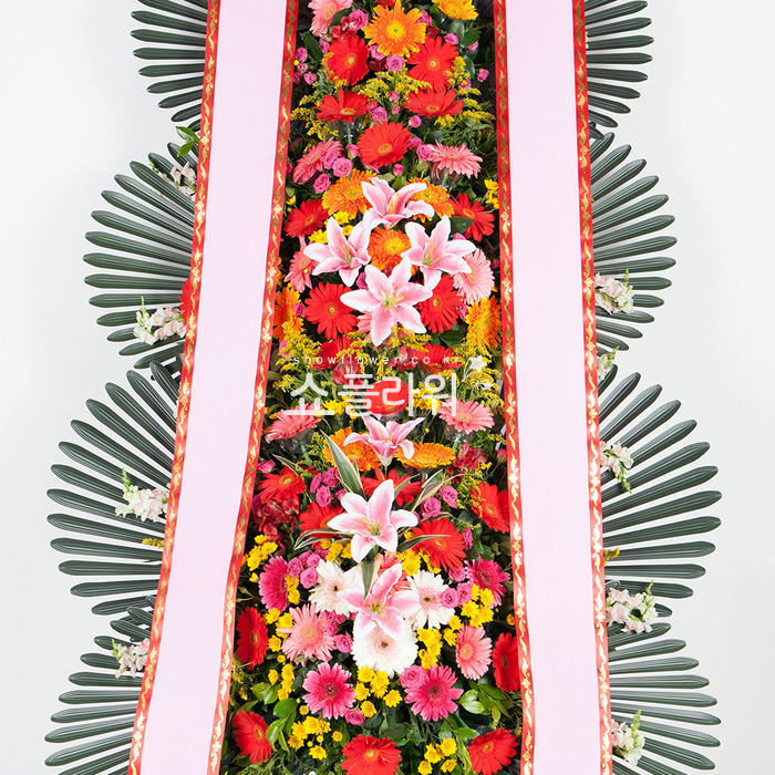상세이미지
