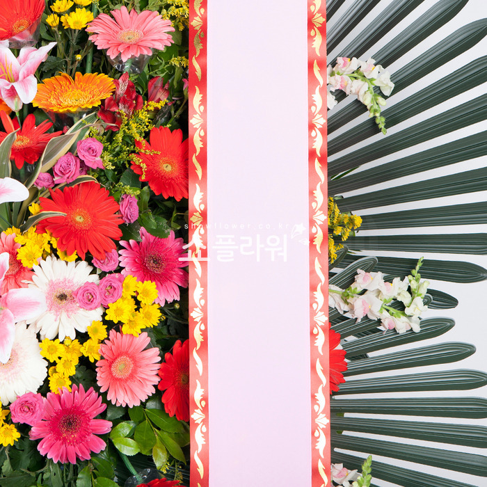 상세이미지