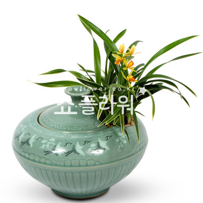 청자분대국 350e