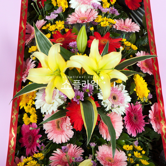 상세이미지