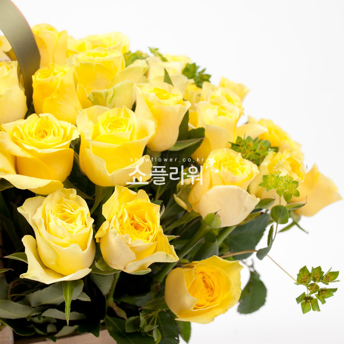 상세이미지