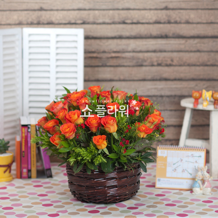 상세이미지