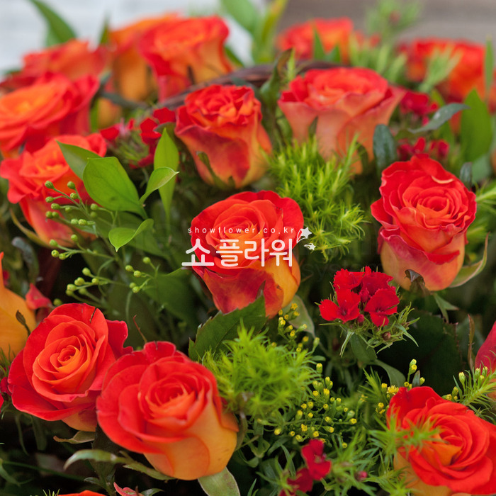 상세이미지