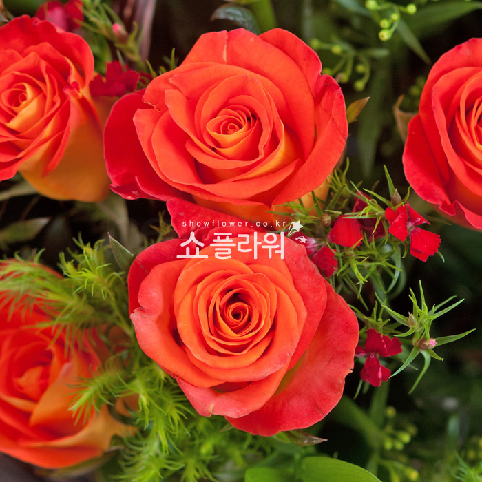 상세이미지