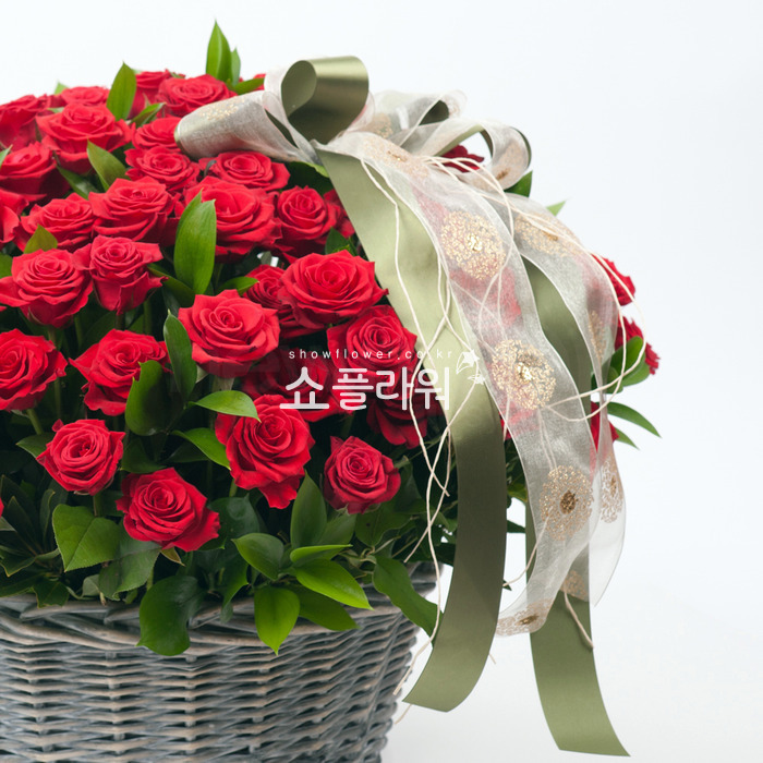 상세이미지