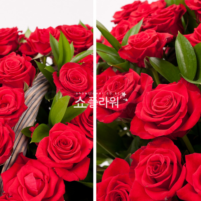 상세이미지