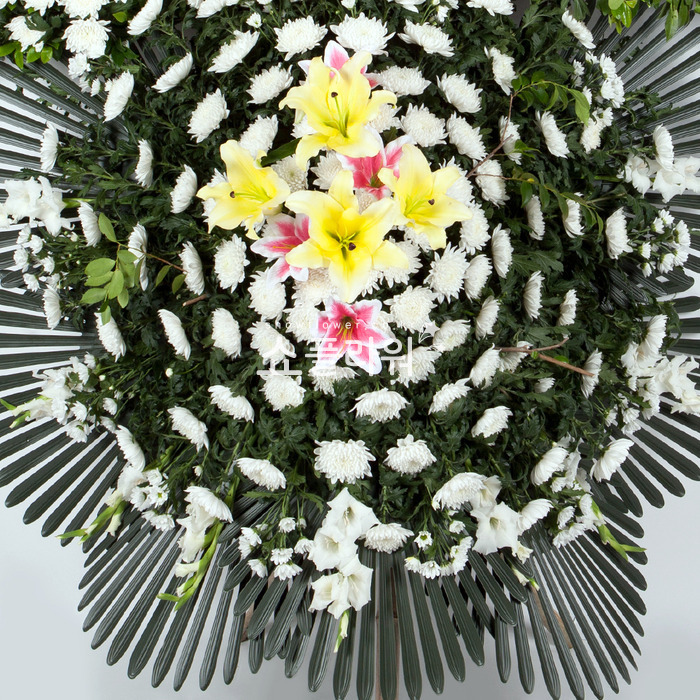 상세이미지