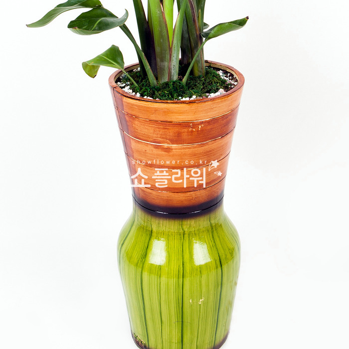 상세이미지