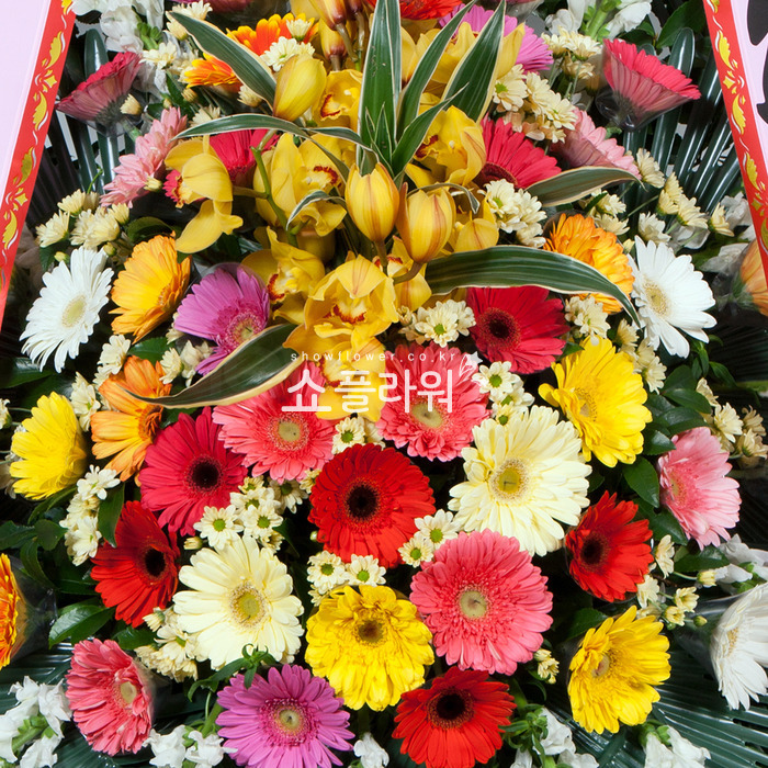 상세이미지
