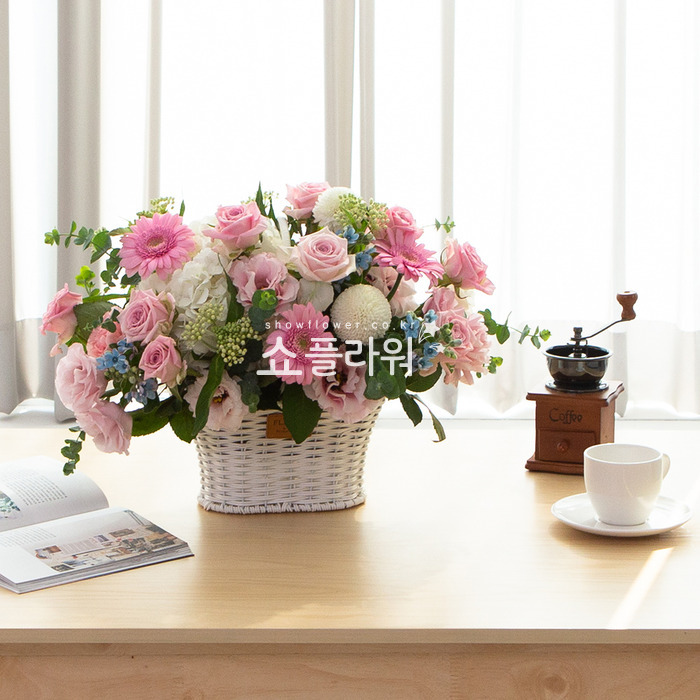 상세이미지