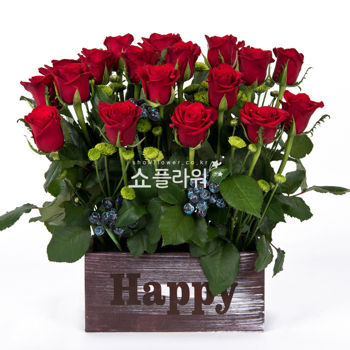 상세이미지