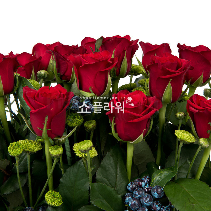 상세이미지