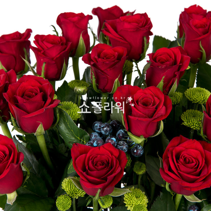 상세이미지