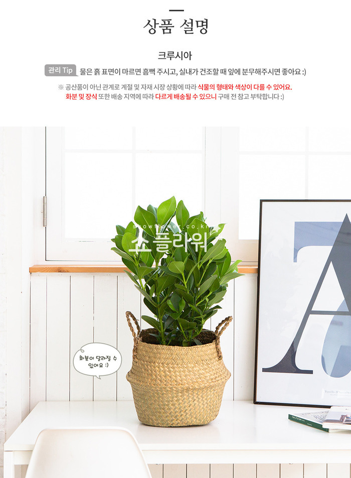 상세이미지