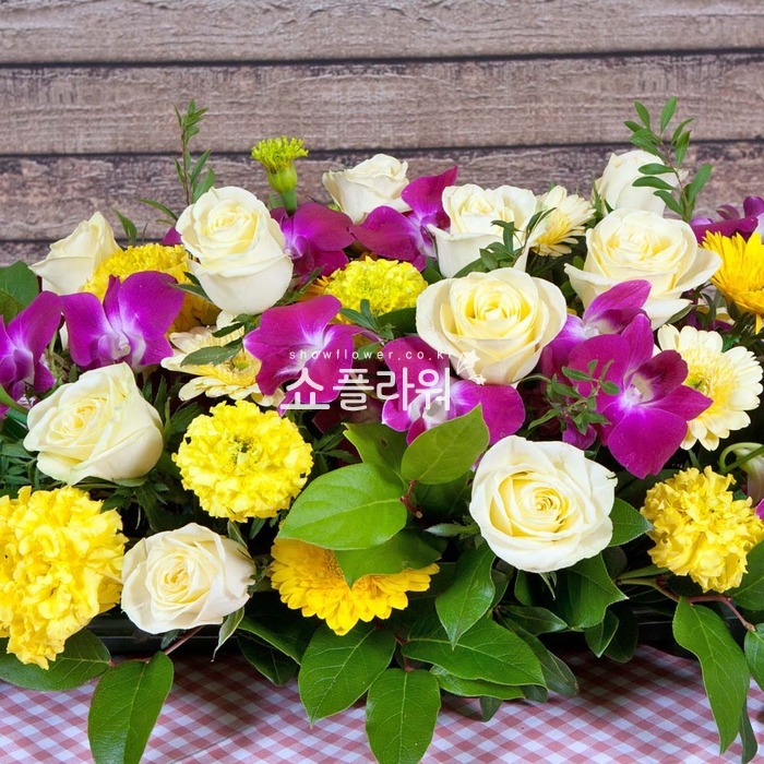 상세이미지