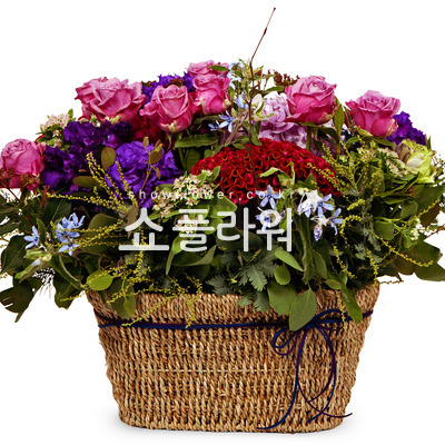 작은정원2