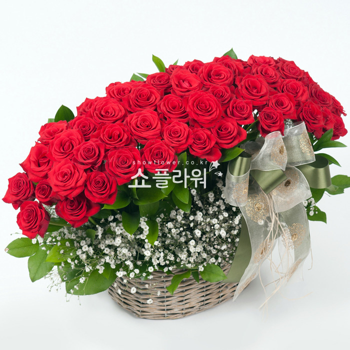 상세이미지