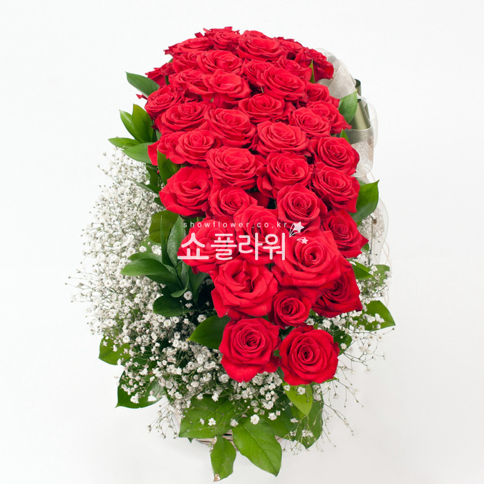 상세이미지