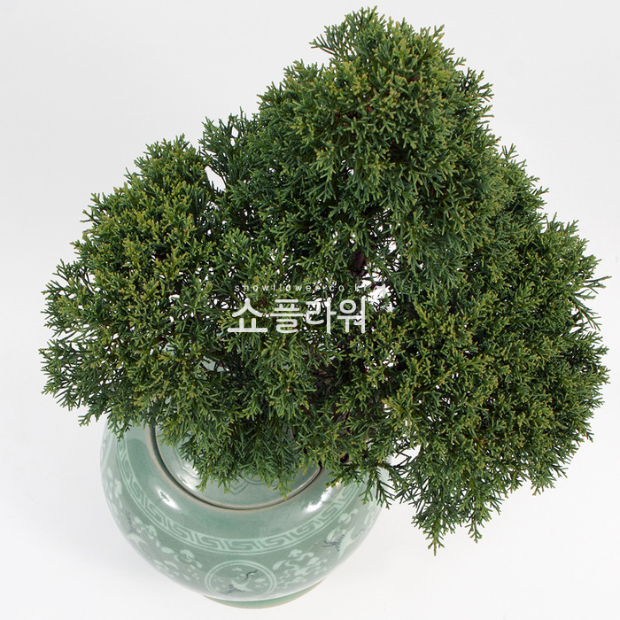 상세이미지