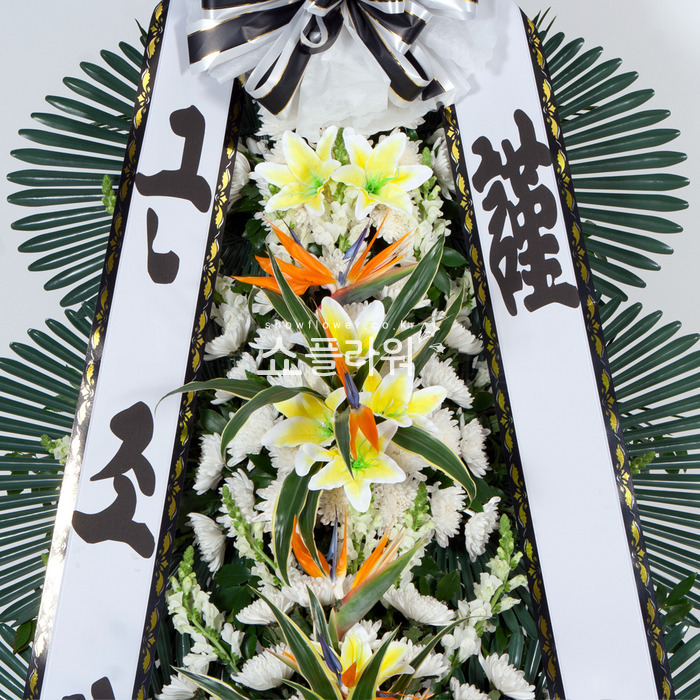 상세이미지