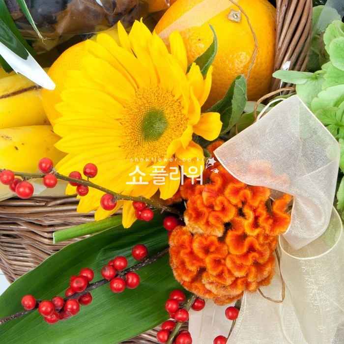 상세이미지