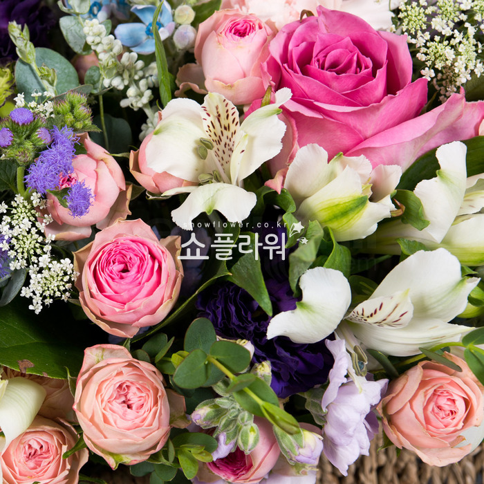 상세이미지