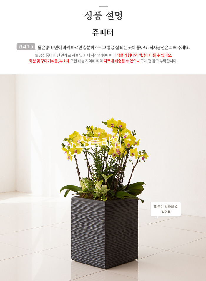 상세이미지