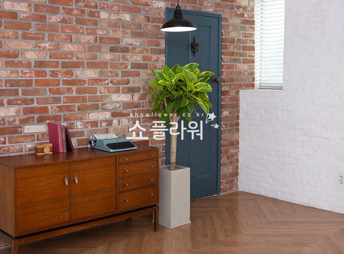 상세이미지