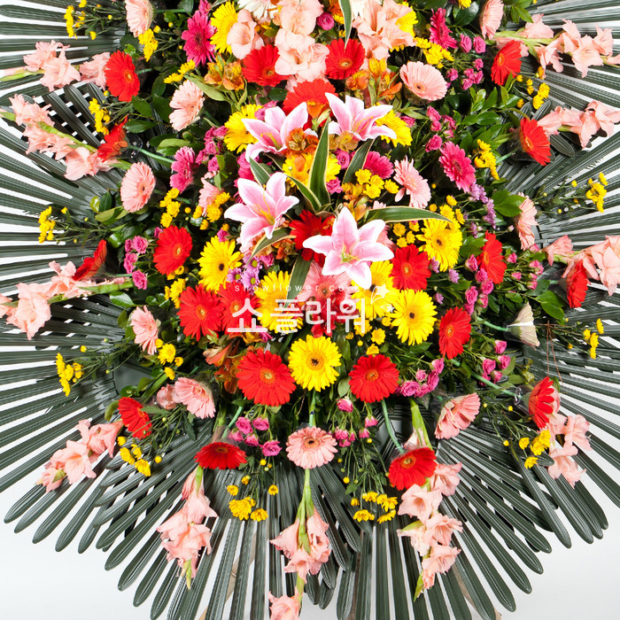 상세이미지