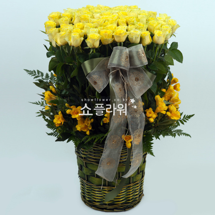 상세이미지
