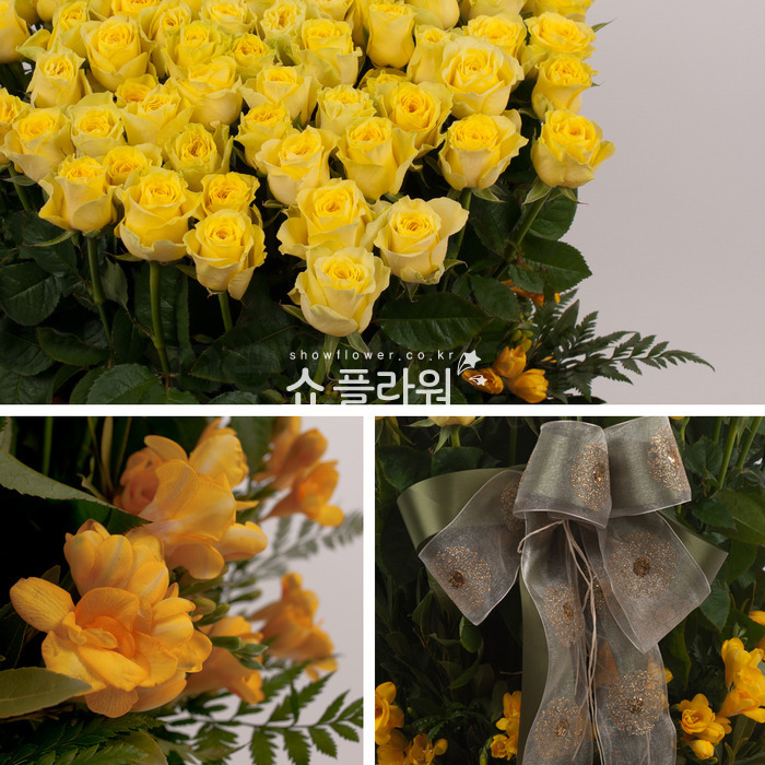 상세이미지