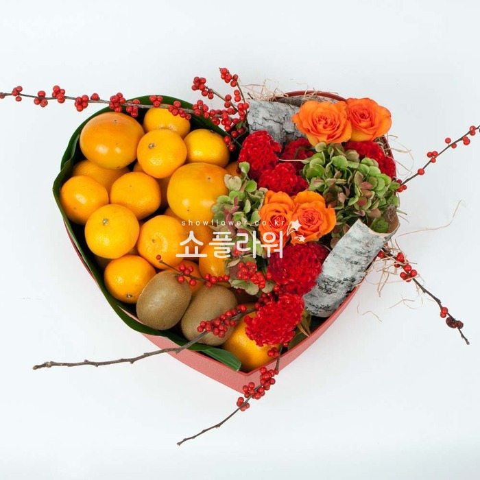 상세이미지