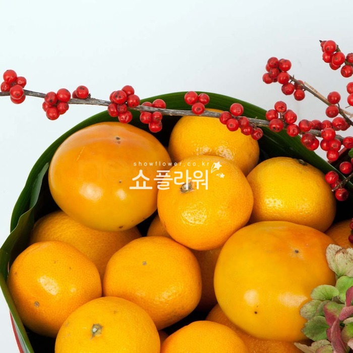 상세이미지