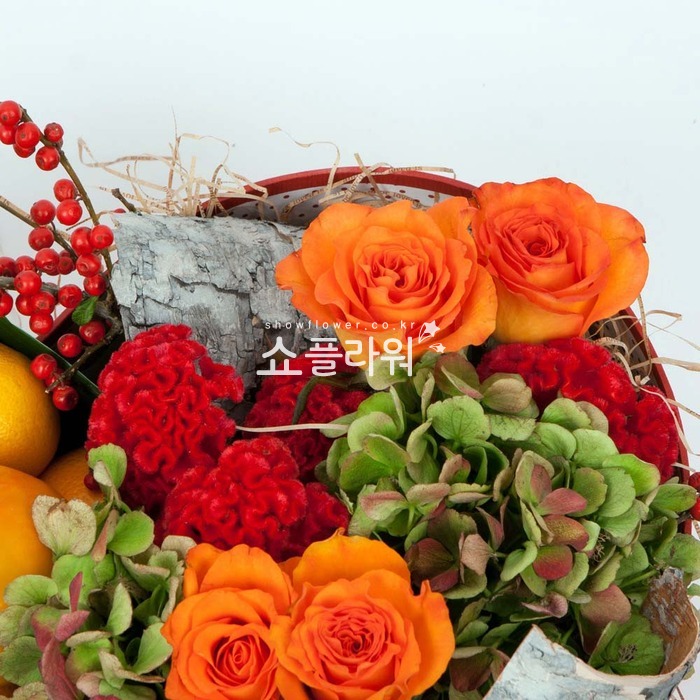 상세이미지