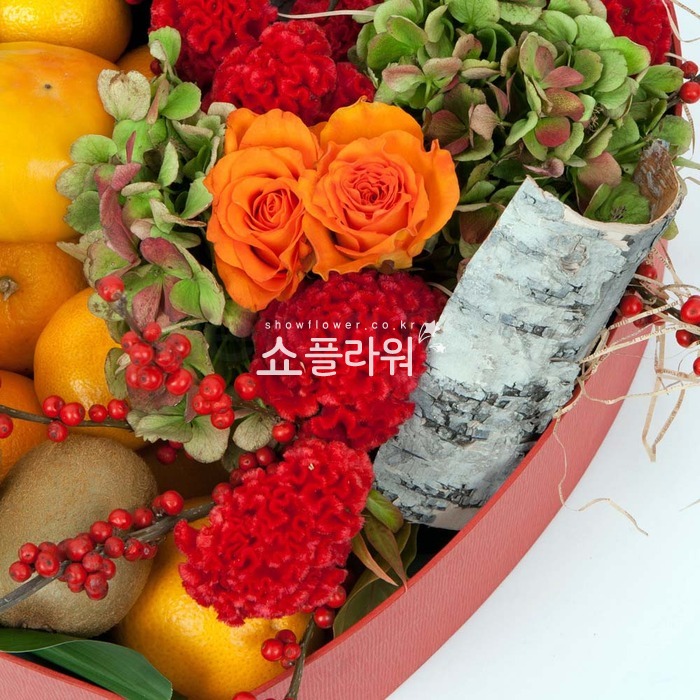 상세이미지