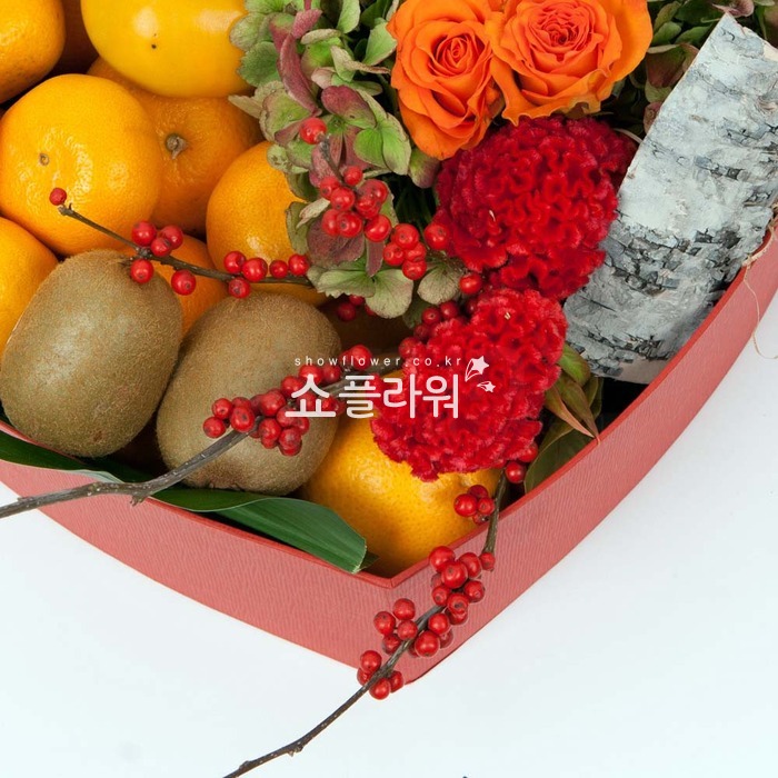 상세이미지