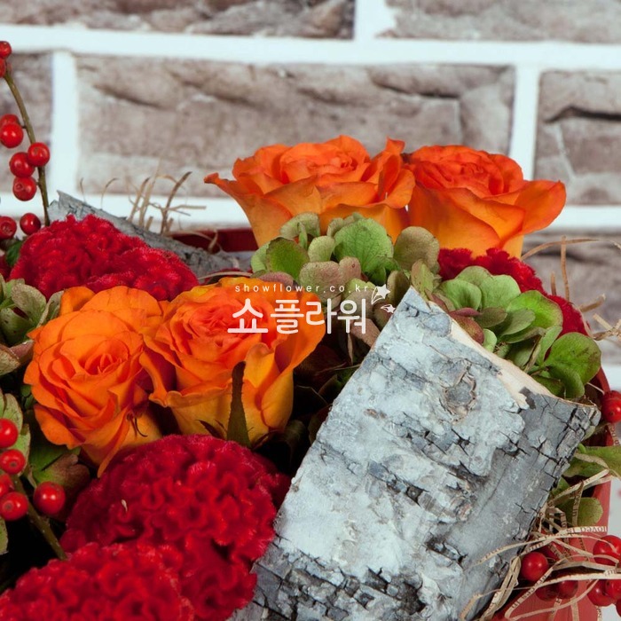 상세이미지