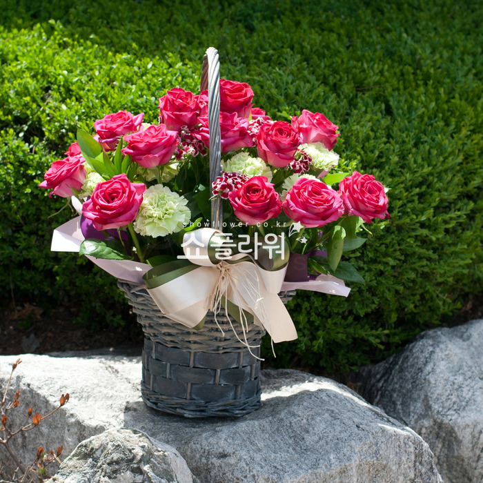 상세이미지