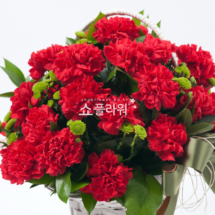 상세이미지