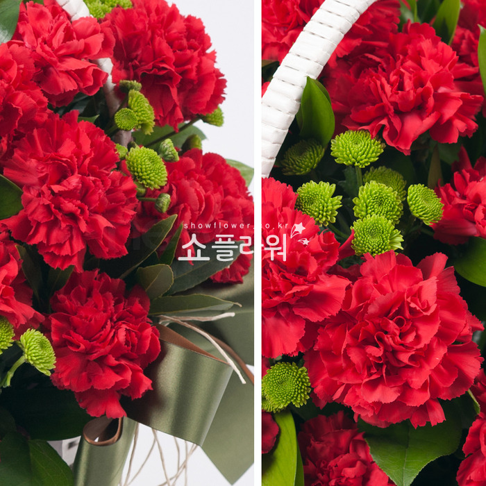 상세이미지