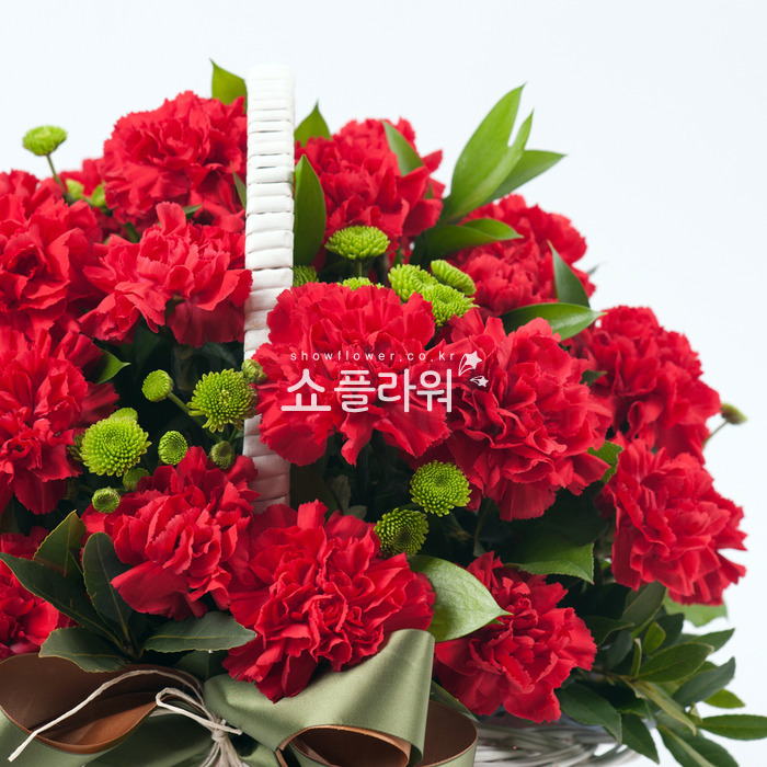 상세이미지