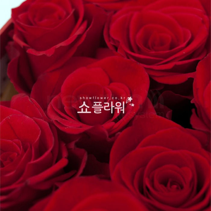 상세이미지