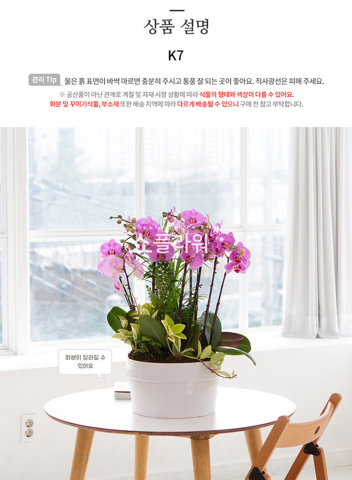 상세이미지